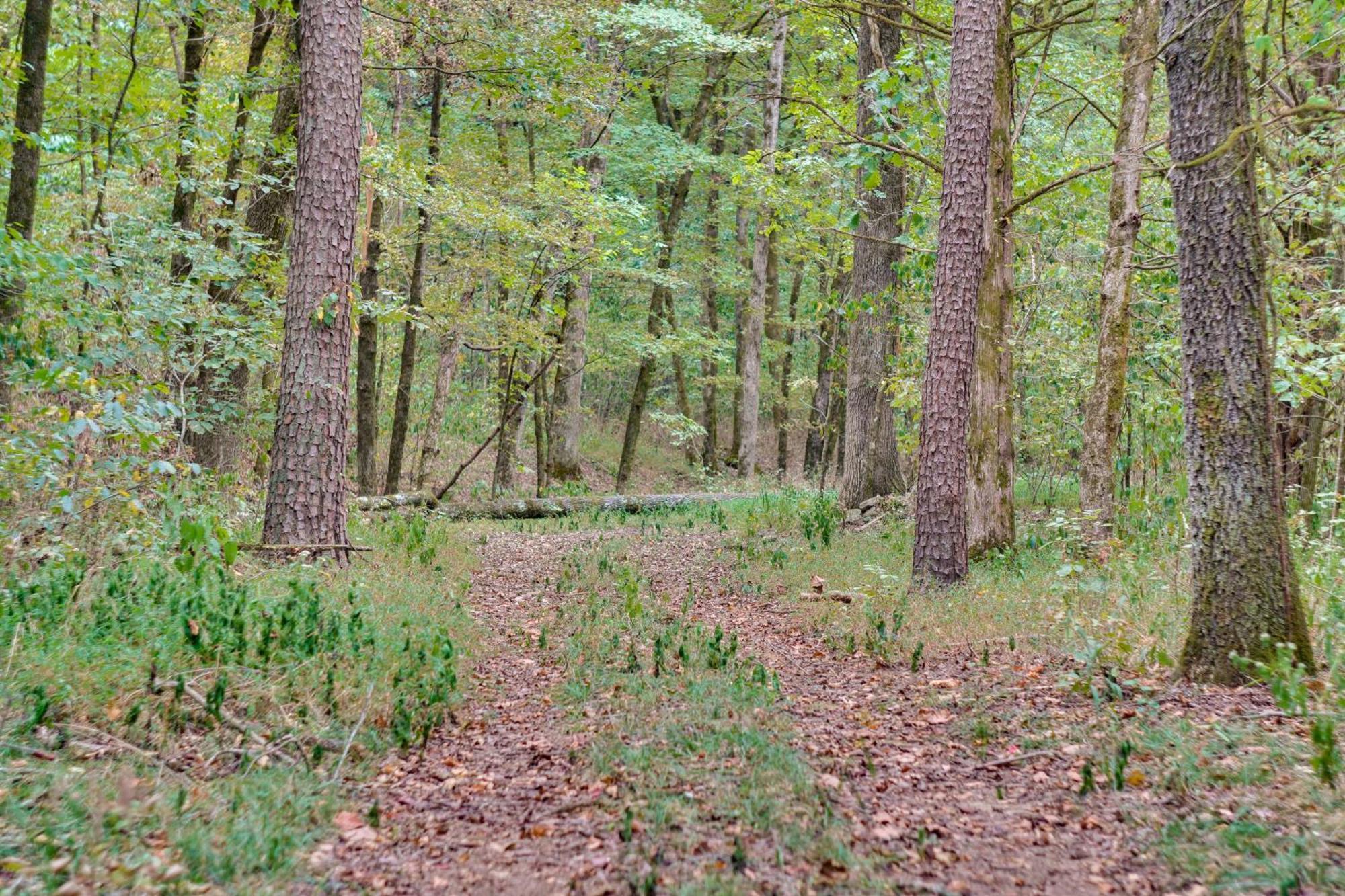 Ozark Mountain Cabin Rental On 300-Acre Ranch エクステリア 写真